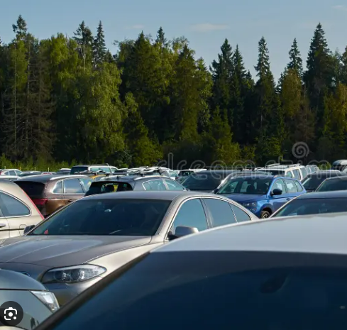 Round White Linens (9)